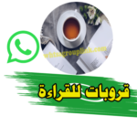 قروب واتساب للقراءة