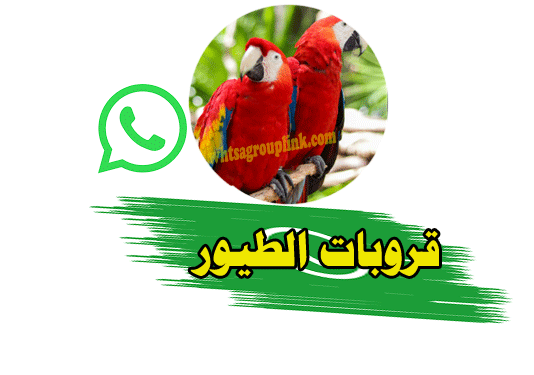 قروب واتس اب بيع وشراء الطيور