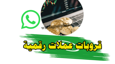 قروب واتساب عملات رقمية