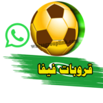 قروب فيفا واتس