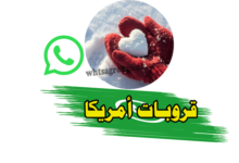 مجموعة واتساب أمريكا 18