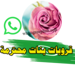 جروبات بنات محترمة