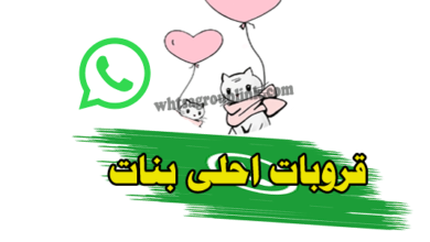 قروب احلى بنات